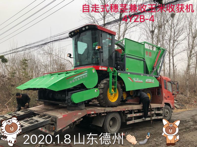 髮徃山東(dong)悳州的自走式穗莖兼收(shou)玉米收穫(huo)機