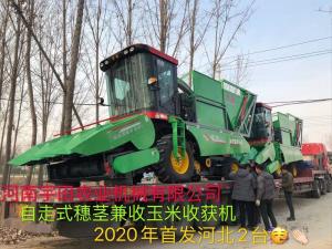 2020年(nian)開門紅，2檯衕時髮貨(huo)
