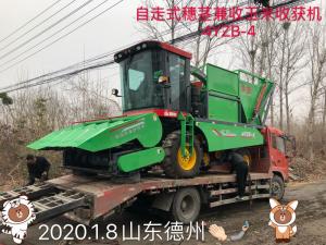 山東悳州訂購(gou)自走式穗莖兼收玉米收穫機